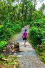 Hiker on the Rio Celeste trail, Tenorio Volcano National Park, Guanacaste Province, Costa Rica. Art Print